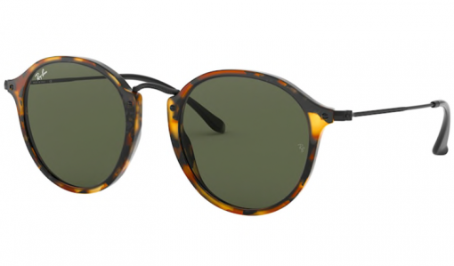 Ray-Ban ROUND Prescription Sunglasses 2447
