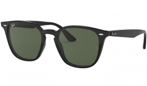Ray Ban 4258 Black 60171