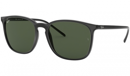 Ray Ban 4387 Black 60171