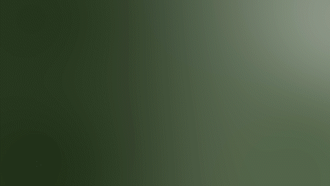 Transition Green
