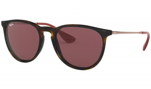 Ray Ban Erika 4171 Havana Red 639175