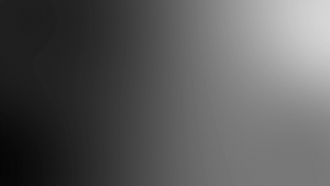 Transition Grey