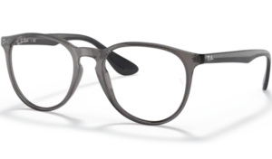 Ray-Ban ERIKA 7046 Transparent Grey 8140