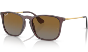 Ray Ban CHRIS Transaprent Brown 6593T5