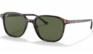 Ray-Ban LEONARD Tortoise 902 31