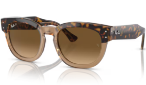 Ray-Ban MEGA HAWKEYE Havana on Transparent Brown 1292M2