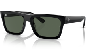 Ray-Ban Warren 4396 Black 667771