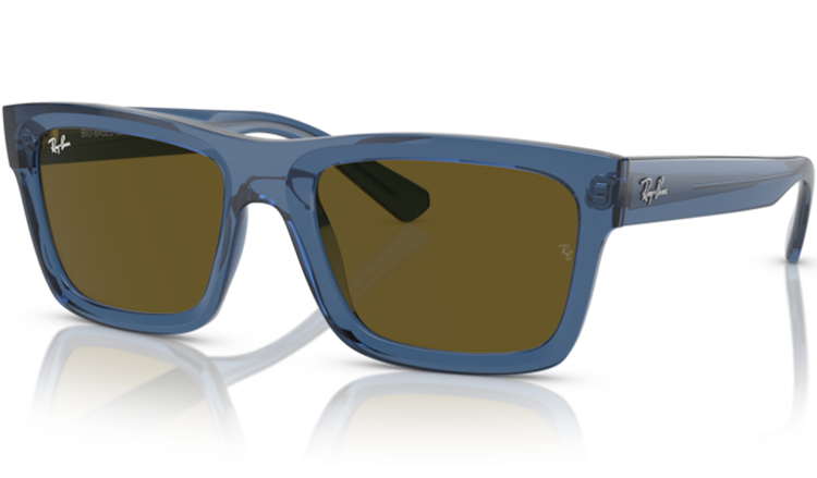 Ray-Ban Warren 4396 Transparent Dark Blue 668073