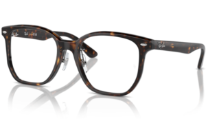 Ray-Ban 5425D Havana Prescription Glasses 2012