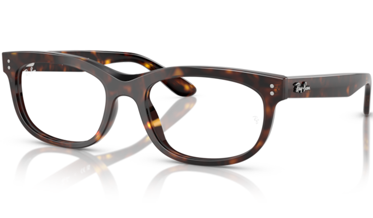 Ray-Ban Balorette 5489 Prescription Glasses